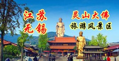 色网站,操B的视频江苏无锡灵山大佛旅游风景区